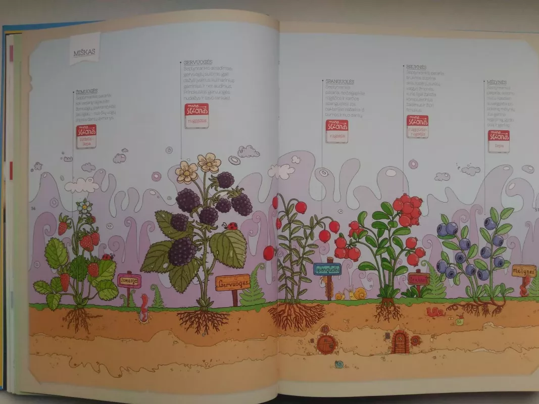 7 ingredientai vaikams - Alfas Ivanauskas Alfas Ivanauskas, Ali Gadžijevas  Ali Gadžijevas, Martynas Praškevičius  Martynas Praškevičius, knyga