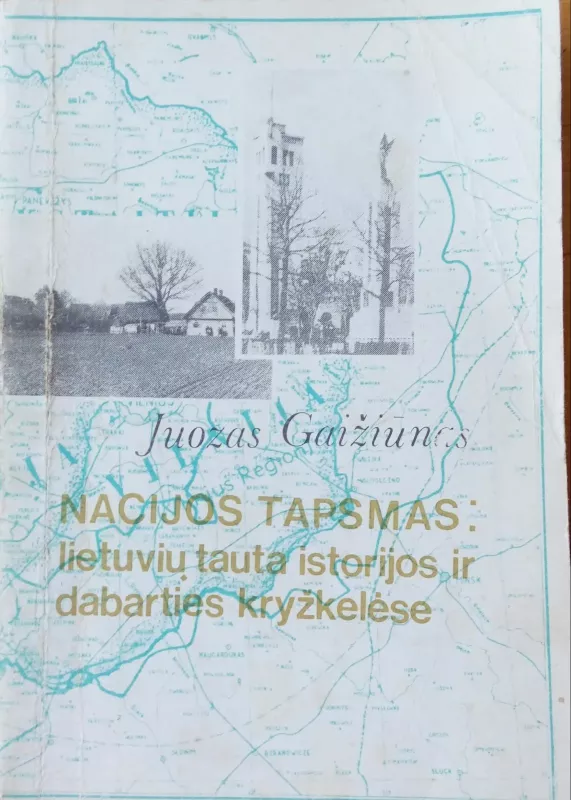 Nacijos tapsmas: lietuvių tauta istorijos ir dabarties kryžkelėse - Juozas Gaižiūnas, knyga 2