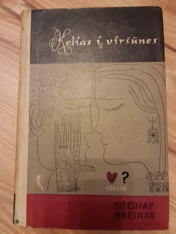 Kelias į viršūnes - Džonas Breinas, knyga 3