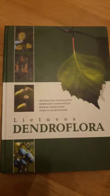 Lietuvos dendroflora - Autorių Kolektyvas, knyga