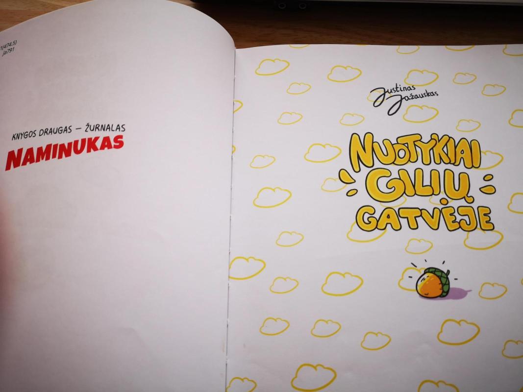 Nuotykiai Gilių gatvėje - Justinas Jažauskas, knyga 2