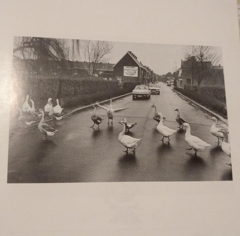 Humorfoto - Autorių Kolektyvas, knyga 2