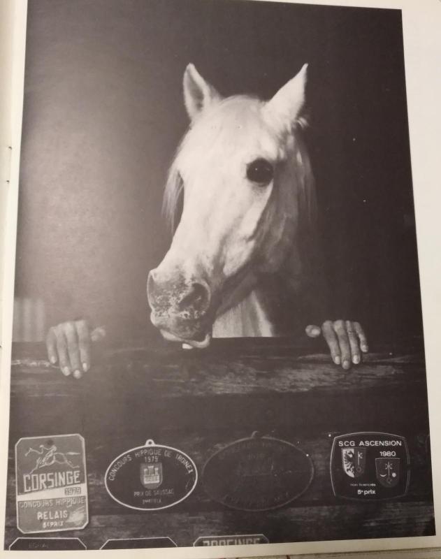 Jumoristia Marostica - Autorių Kolektyvas, knyga 2