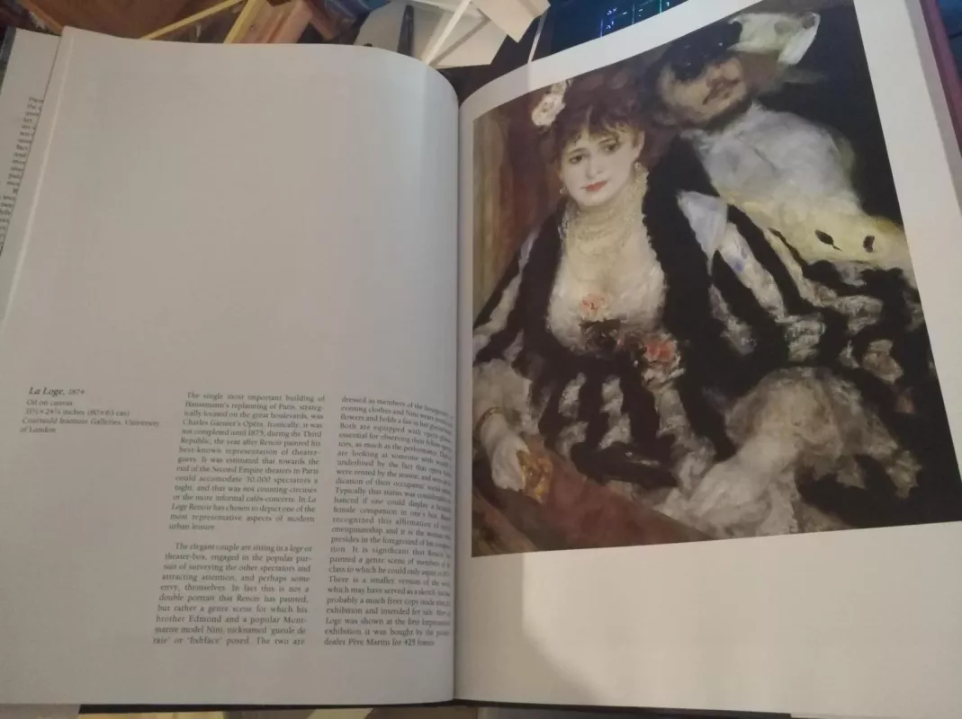 Renoir - Lesley Stevenson, knyga