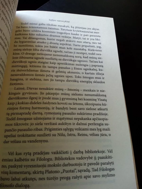 angelofilai - Augustinas Dainys, knyga 4