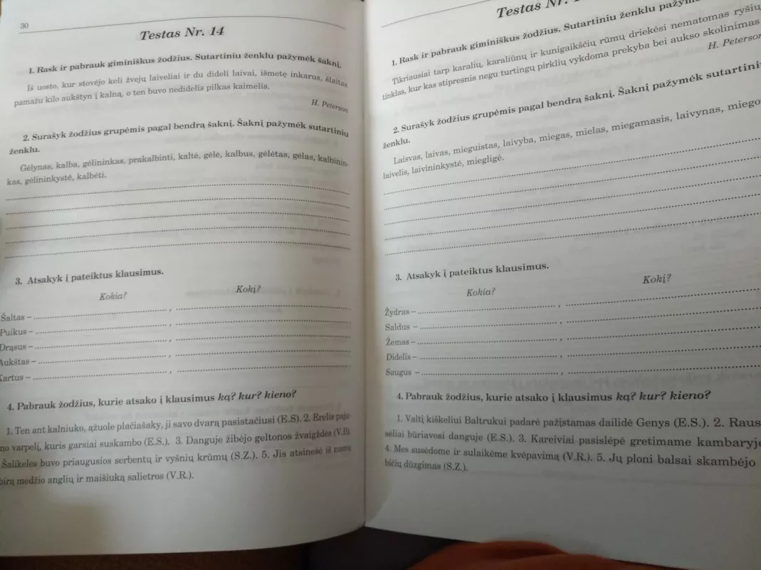 Lietuvių Kalbos Testai pagal Šaltinį 3 klasei - Gražina Banuškevičienė, knyga