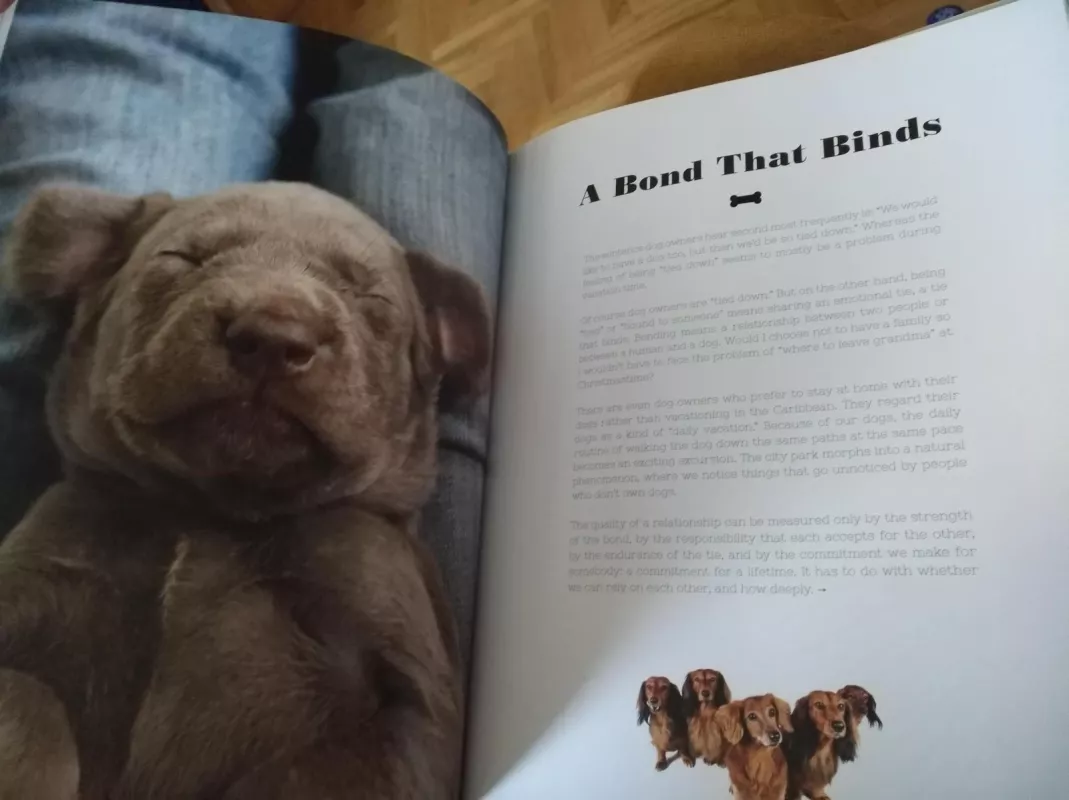 For the Love of Dogs - Autorių Kolektyvas, knyga