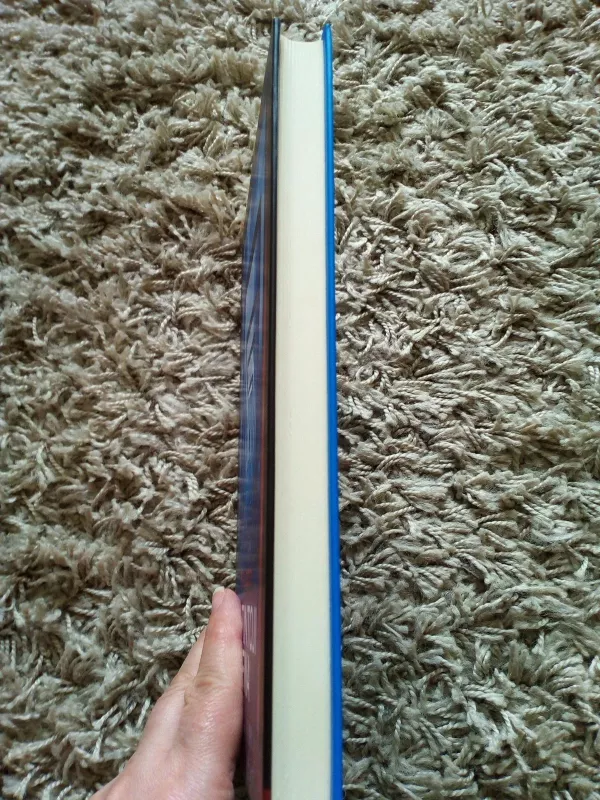 Septintoji diena - Nika Lubitsch, knyga 4