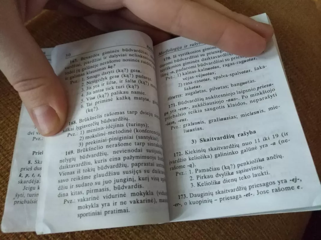 Lietuvių kalbos taisyklių sąvadas - Benjaminas Kondratas, knyga