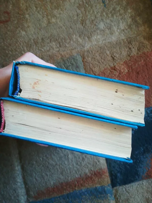 Paryžiaus mohikanai (2 dalys) - Aleksandras Diuma, knyga 2