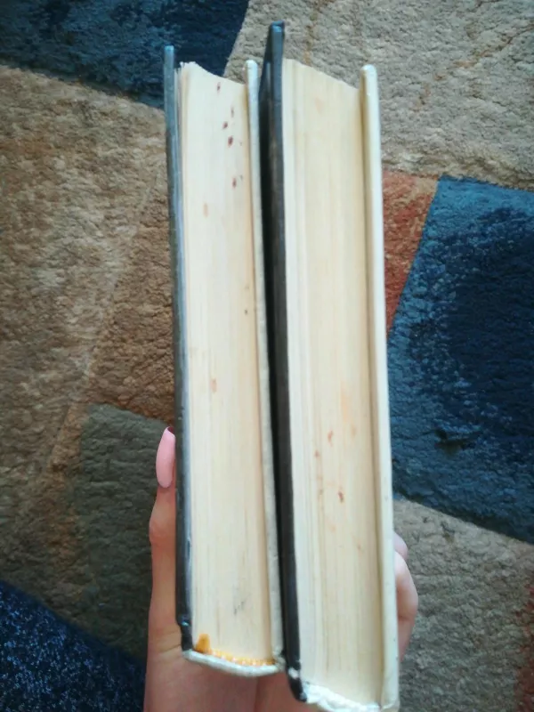 Jėhaus pasekėjai (2 dalys) - Aleksandras Diuma, knyga 2