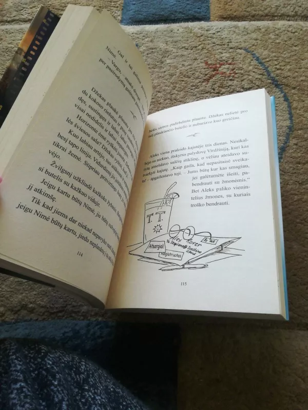 Nimė jūroje - Wendy Orr, knyga 2