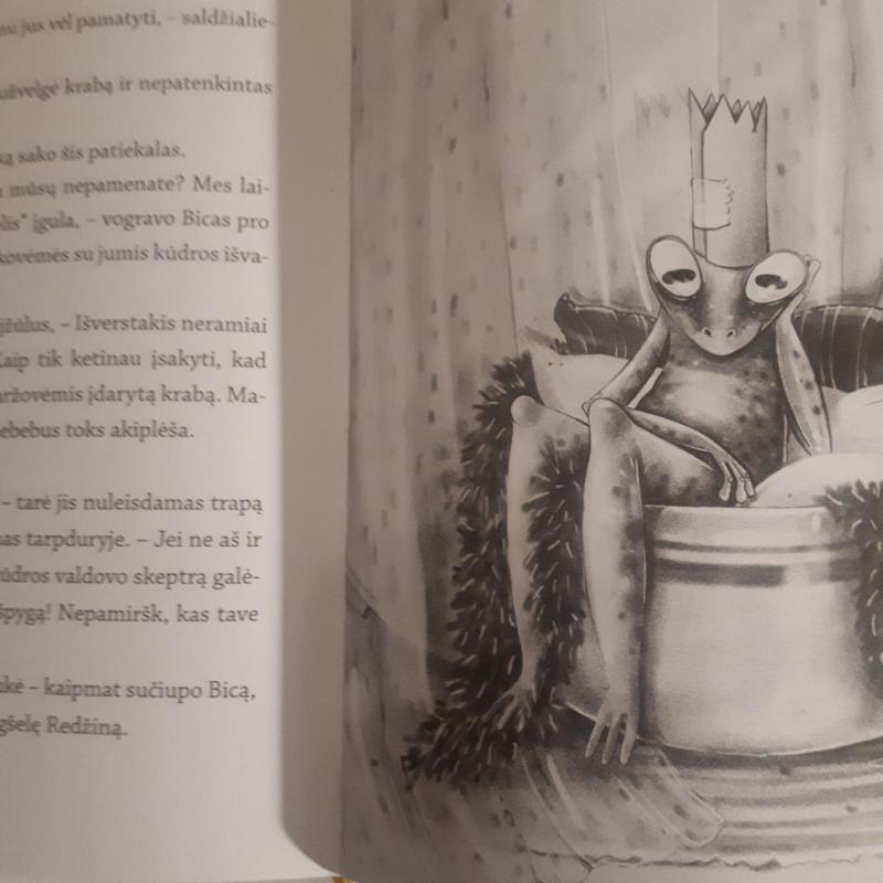 Slaptoji Kornelijaus van drebelio misija - Virgis Šidlauskas, knyga 3