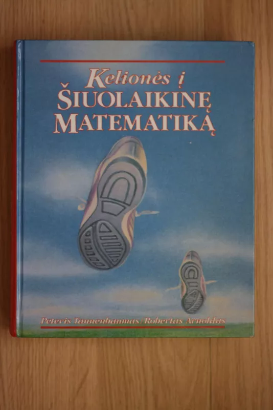 Kelionės į šiuolaikinę matematiką - Autorių Kolektyvas, knyga