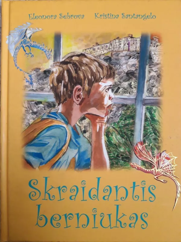 Skraidantis berniukas - Sebrova Eleonora, knyga 2