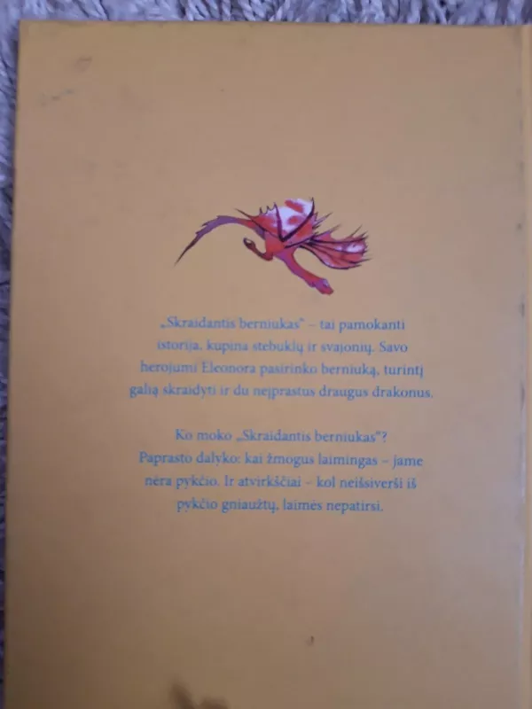 Skraidantis berniukas - Sebrova Eleonora, knyga 3