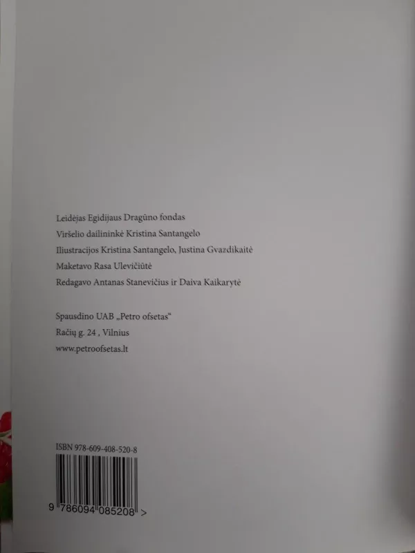 Skraidantis berniukas - Sebrova Eleonora, knyga 4