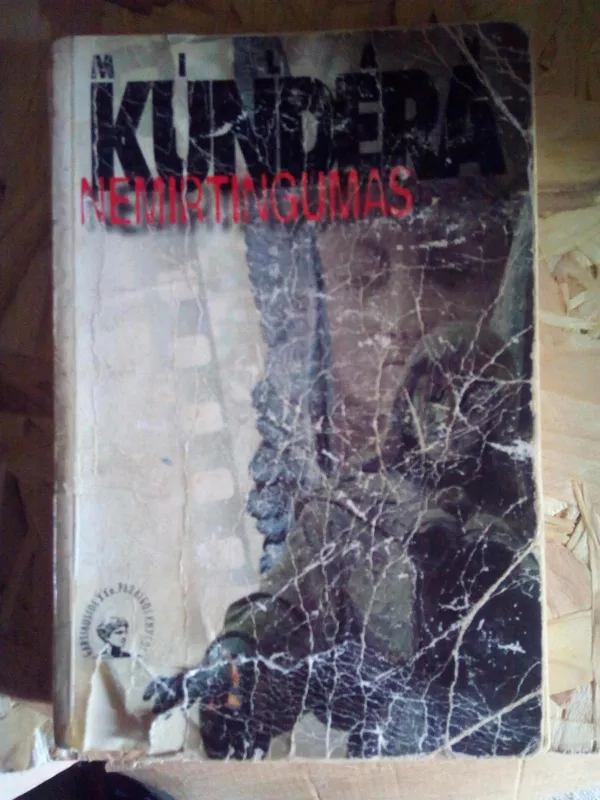 Nemirtingumas - Milan Kundera, knyga 3