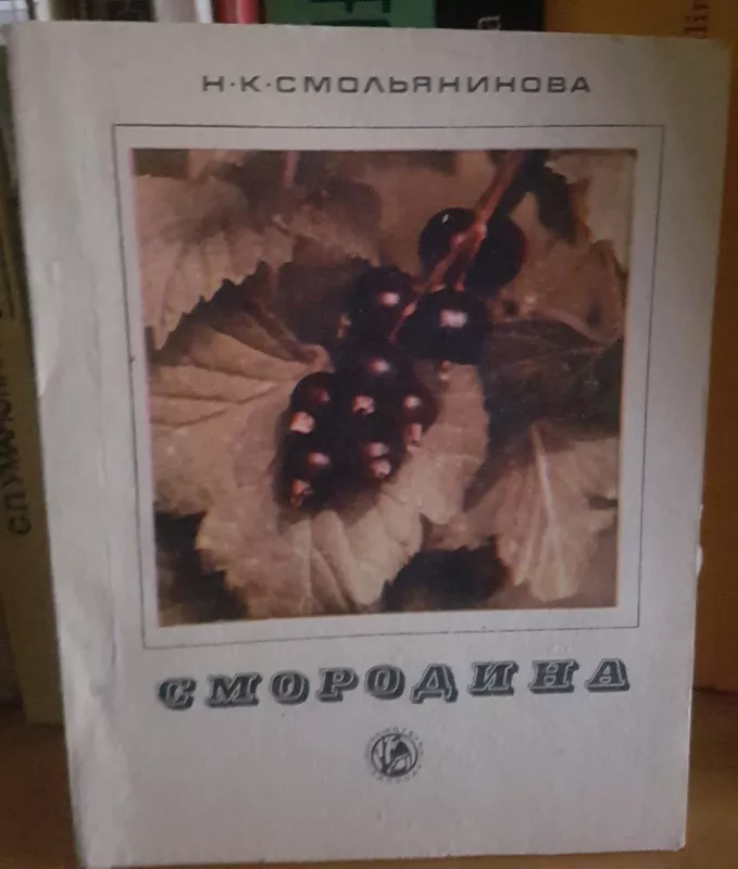 Смородина - Н. Смольянинова, knyga