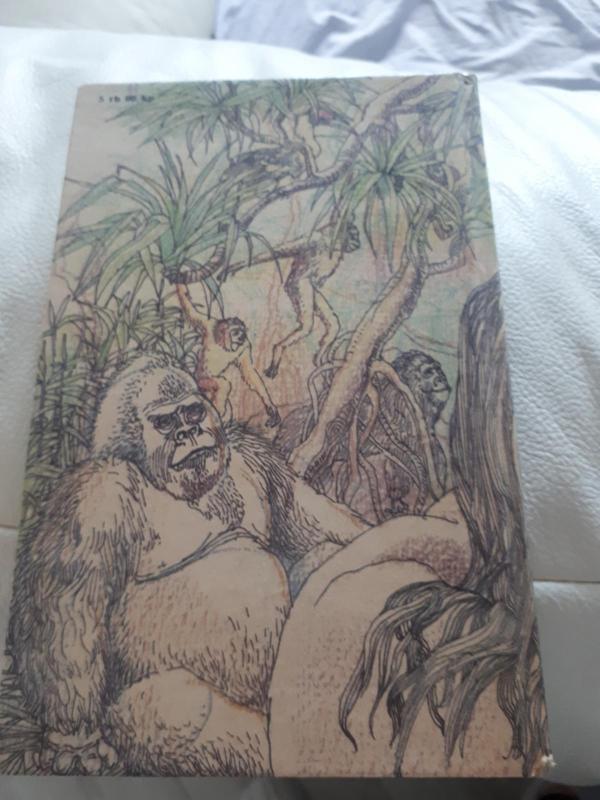 Tarzanas - Barouzas Edgaras, knyga 2