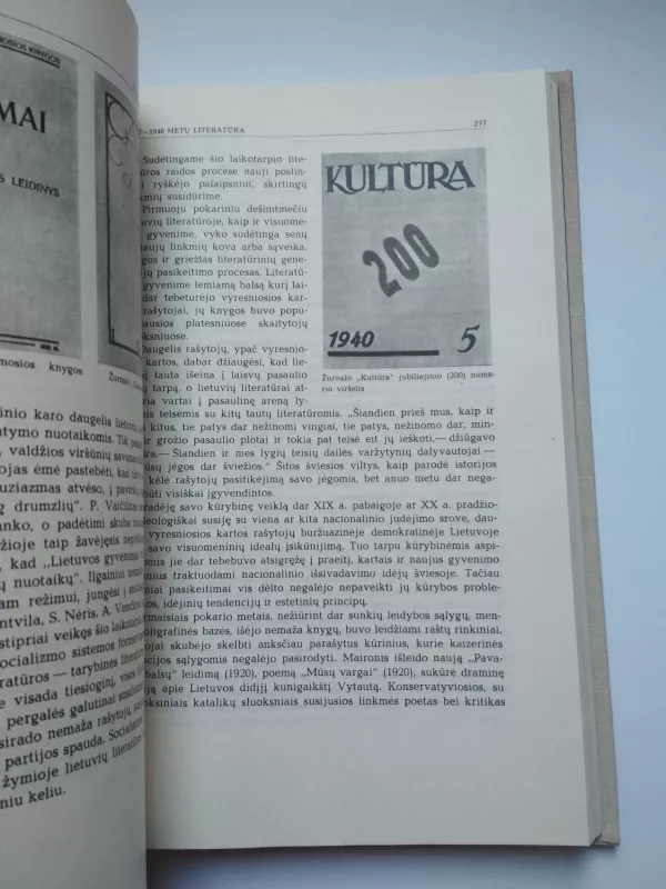 Lietuvių literatūros istorija (2 dalys) - Autorių Kolektyvas, knyga