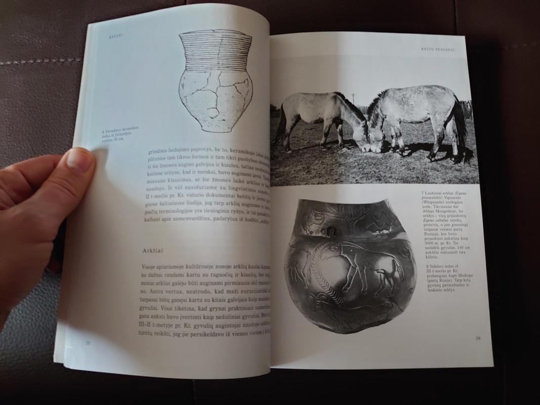 Keltai - T.G.E. Powell, knyga 6