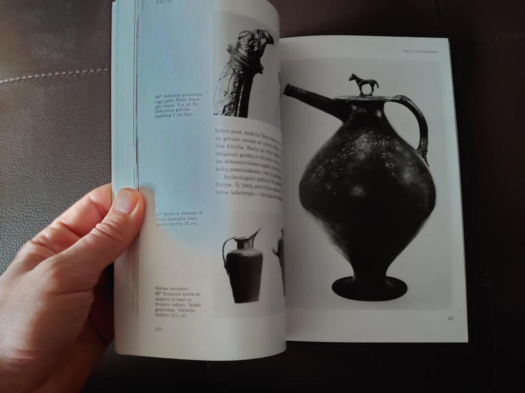 Keltai - T.G.E. Powell, knyga 5