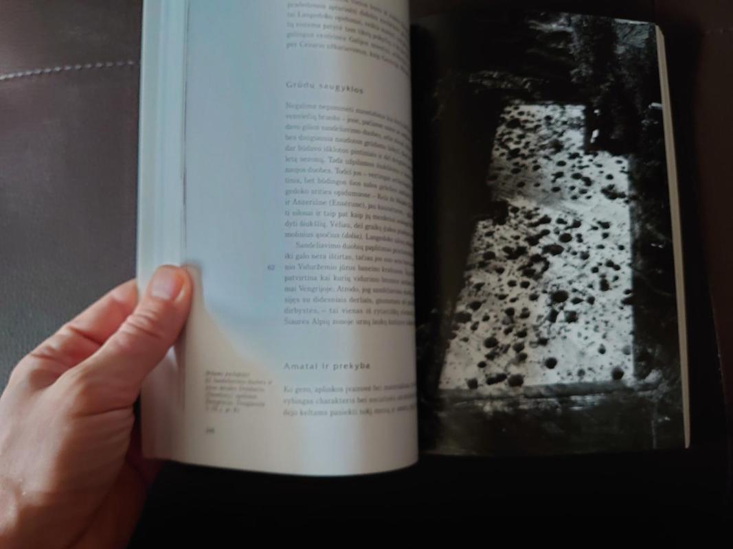 Keltai - T.G.E. Powell, knyga 4