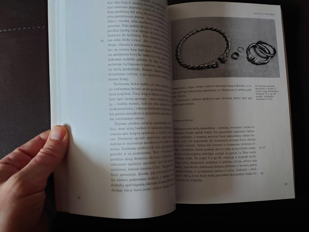 Keltai - T.G.E. Powell, knyga 3