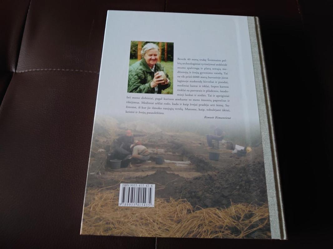 Akmens amžiaus žvejai prie pajūrio lagūnos - Rimutė Rimantienė, knyga 6