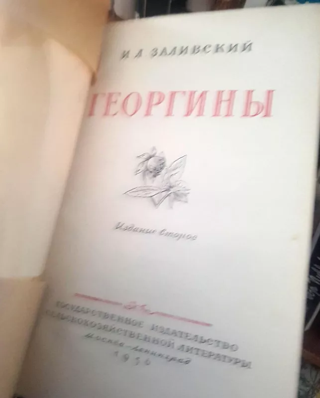 Георгины - И Заливский, knyga