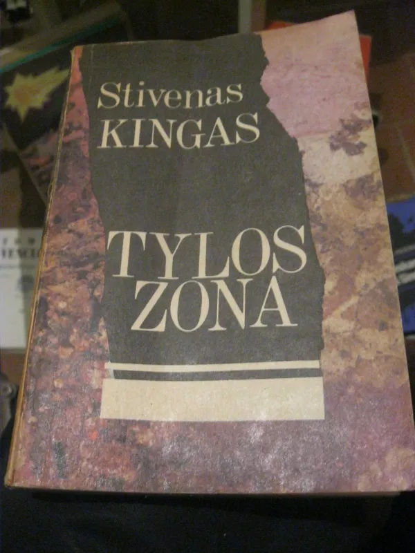 Tylos zona - Stephen King, knyga 2