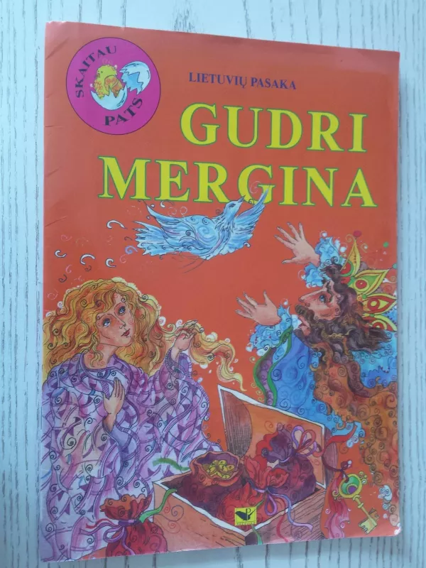 Gudri mergina - Autorių Kolektyvas, knyga 2