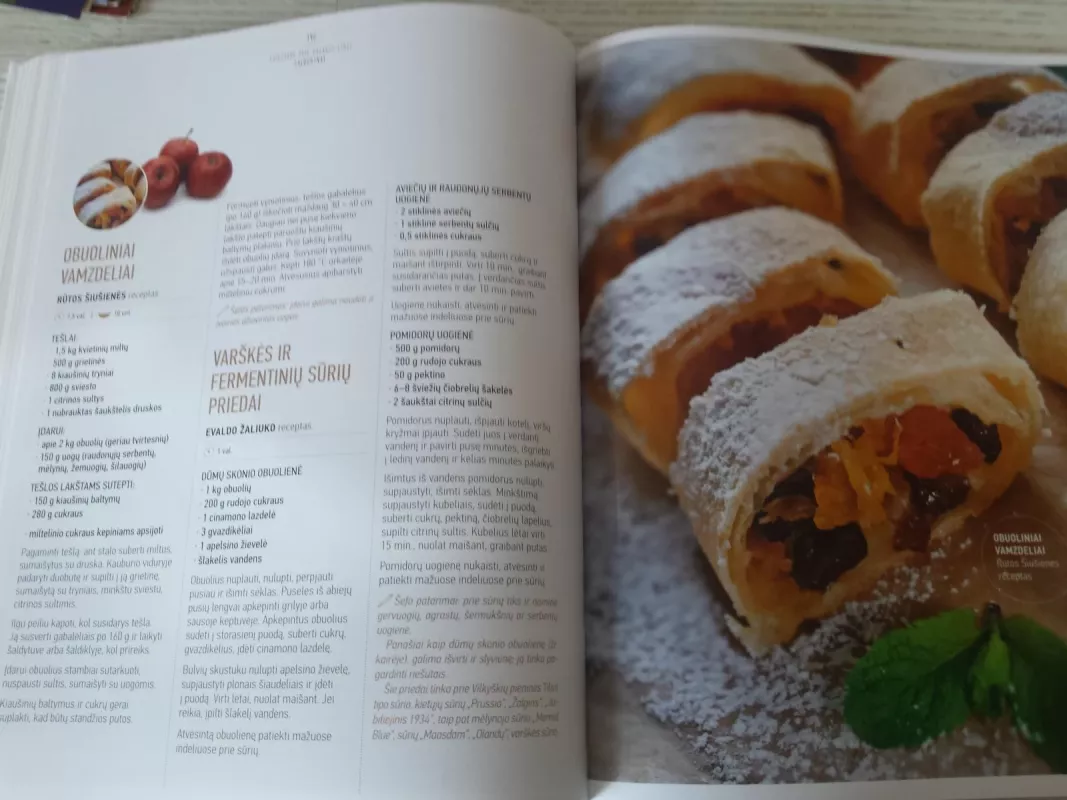 Didžioji lietuvių valgių knyga - O. Jurkšienė, knyga 6