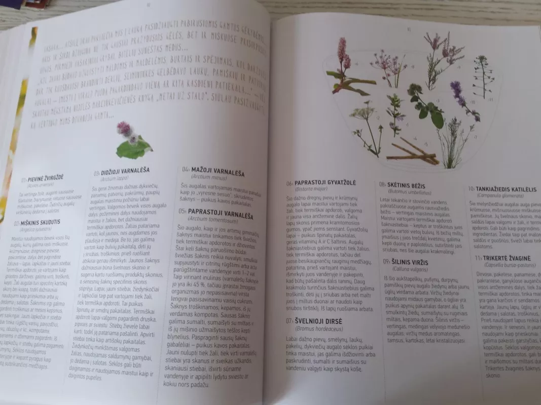 Didžioji lietuvių valgių knyga - O. Jurkšienė, knyga 5