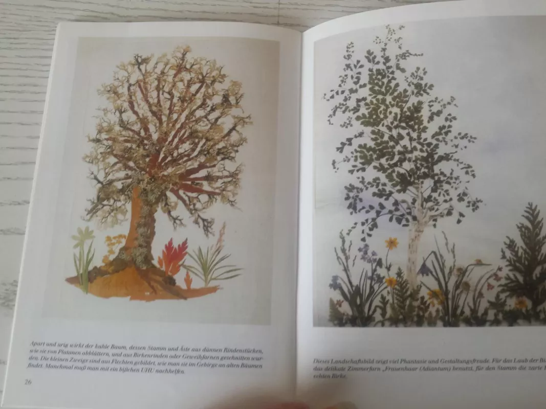 Gepresste Naturschonkeit - Ine Frank, knyga 6