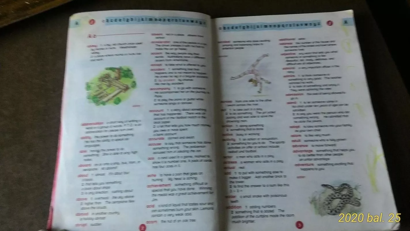 Illustrated oxford dictionary - Autorių Kolektyvas, knyga 4