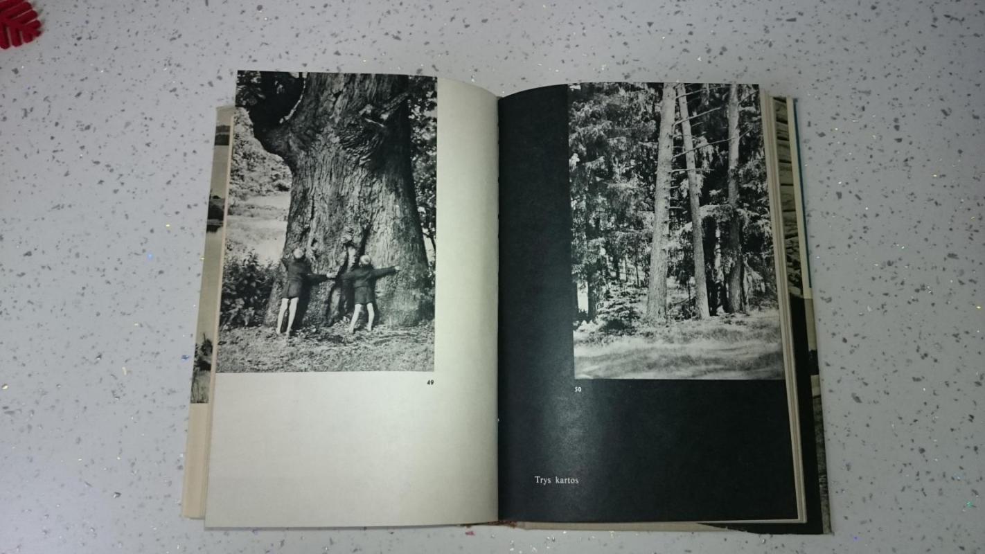 Ignalinos kraštas - Autorių Kolektyvas, knyga 4