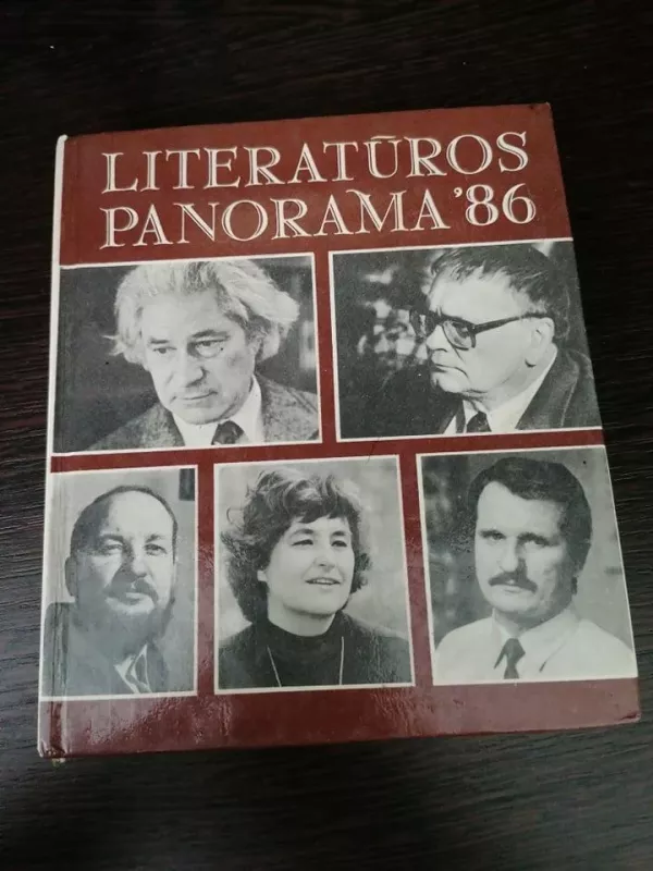 Literatūros panorama 86 - Arvydas Valionis, knyga
