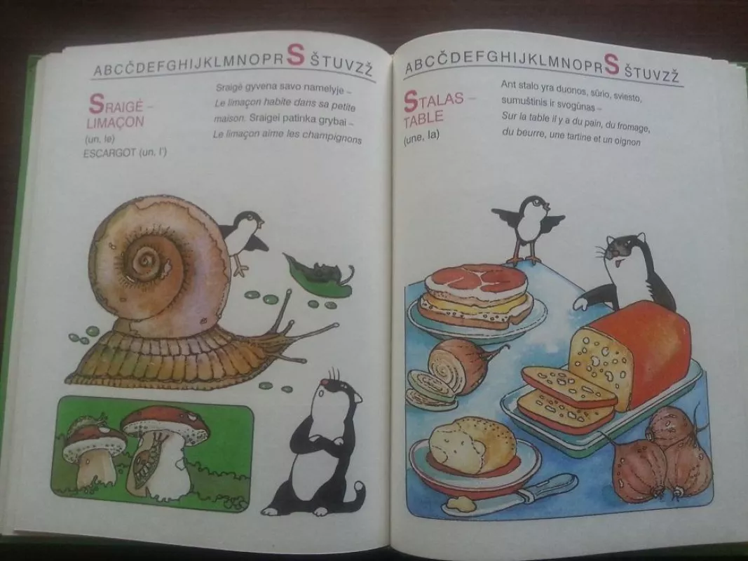 Lietuvių-prancūzų kalbų žodynas vaikams - Autorių Kolektyvas, knyga