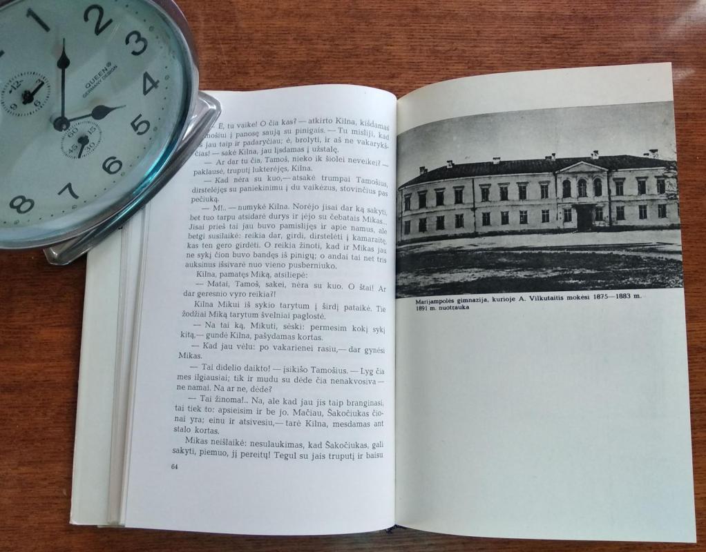 Rinktiniai raštai - Autorių Kolektyvas, knyga 4