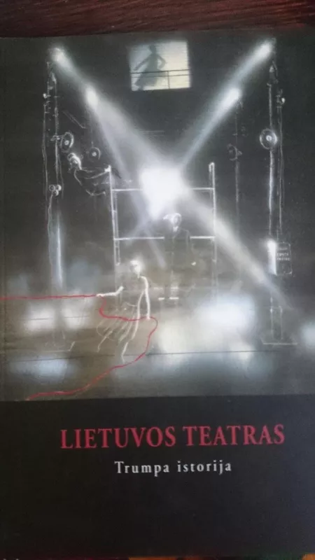 Lietuvos teatras. Trumpa istorija - Rasa Vasinauskaitė, knyga