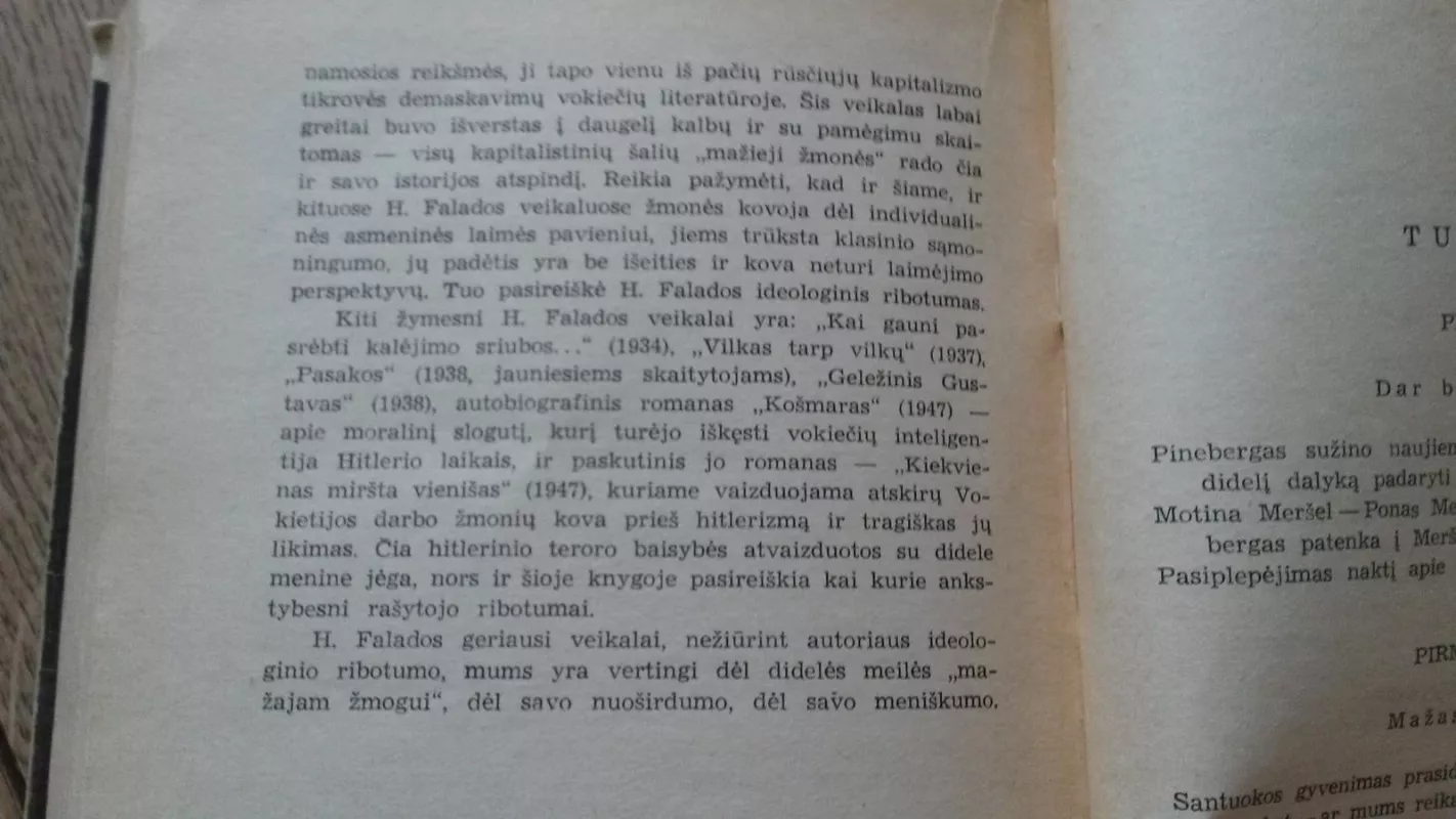 O kas dabar, mažasis žmogau? - H. Falada, knyga