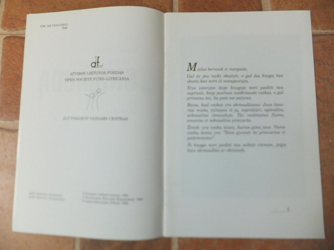 Tikra knygelė apie skriaudą. Vaikams - Violeta Šikaitė, knyga 4