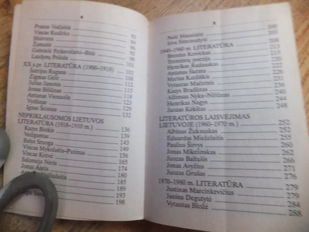 Lietuvių literatūra. Trumpas literatūros kursas - Aldona Mackevičienė, knyga 5