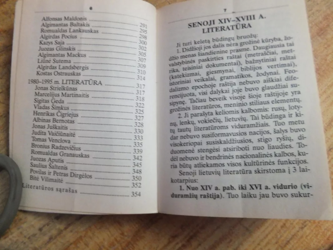 Lietuvių literatūra. Trumpas literatūros kursas - Aldona Mackevičienė, knyga 4