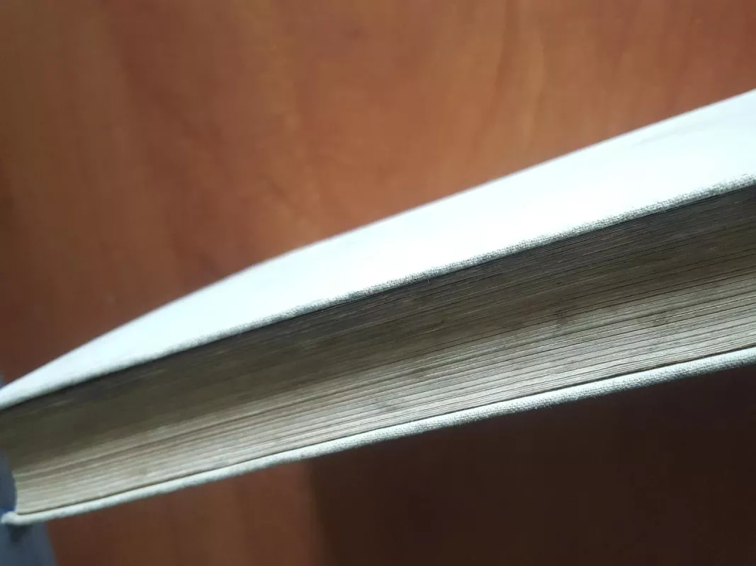 Paletė ir gyvenimas - A. Žmuidzinavičius, knyga 6