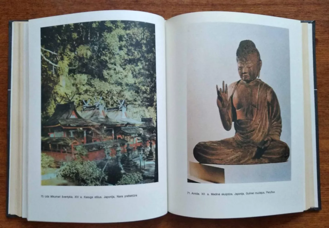 Rytų estetikos ir meno pasaulis - Thomas Munro, knyga 3
