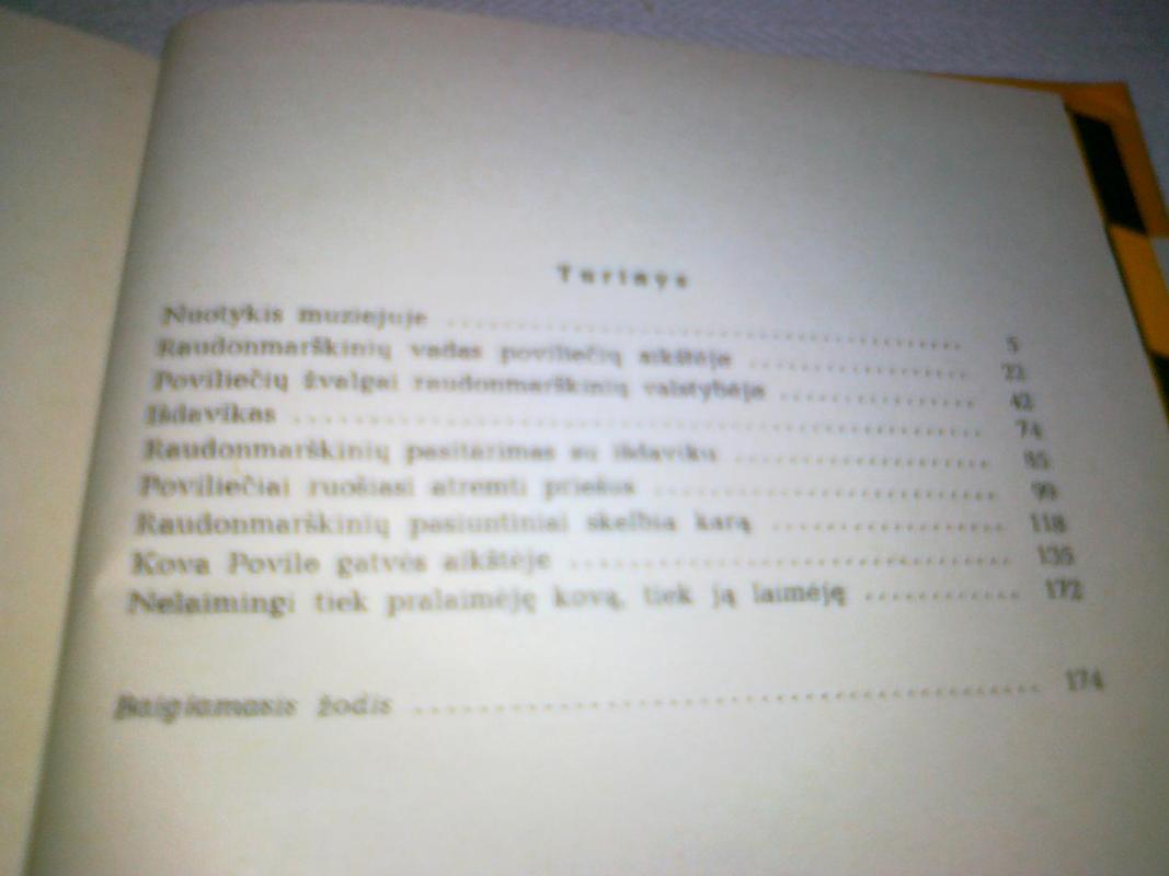 Povilo gatvės vaikai - Ferencas Molnaras, knyga 2