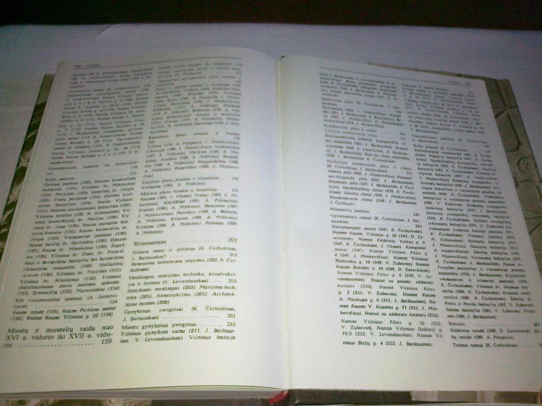 Lietuvos architektūros istorija. T.1 - Autorių Kolektyvas, knyga 2